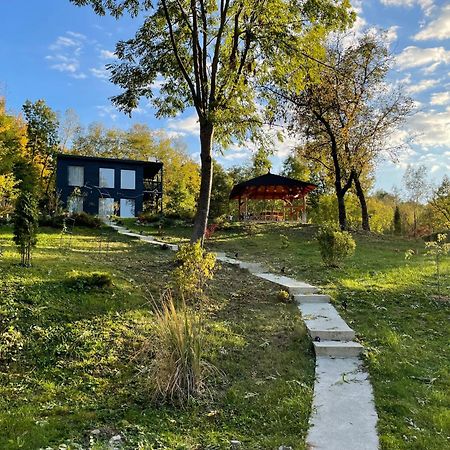 Casa De Pe Un Deal-Provita De Sus-Prahova Buitenkant foto