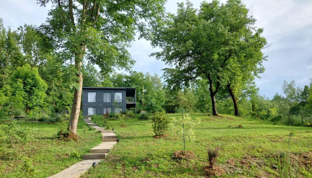 Casa De Pe Un Deal-Provita De Sus-Prahova Buitenkant foto
