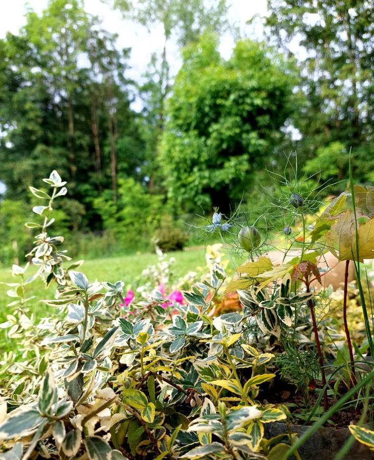 Casa De Pe Un Deal-Provita De Sus-Prahova Buitenkant foto