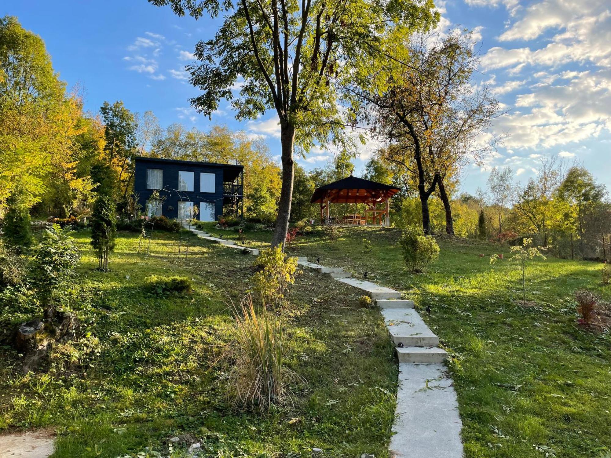 Casa De Pe Un Deal-Provita De Sus-Prahova Buitenkant foto