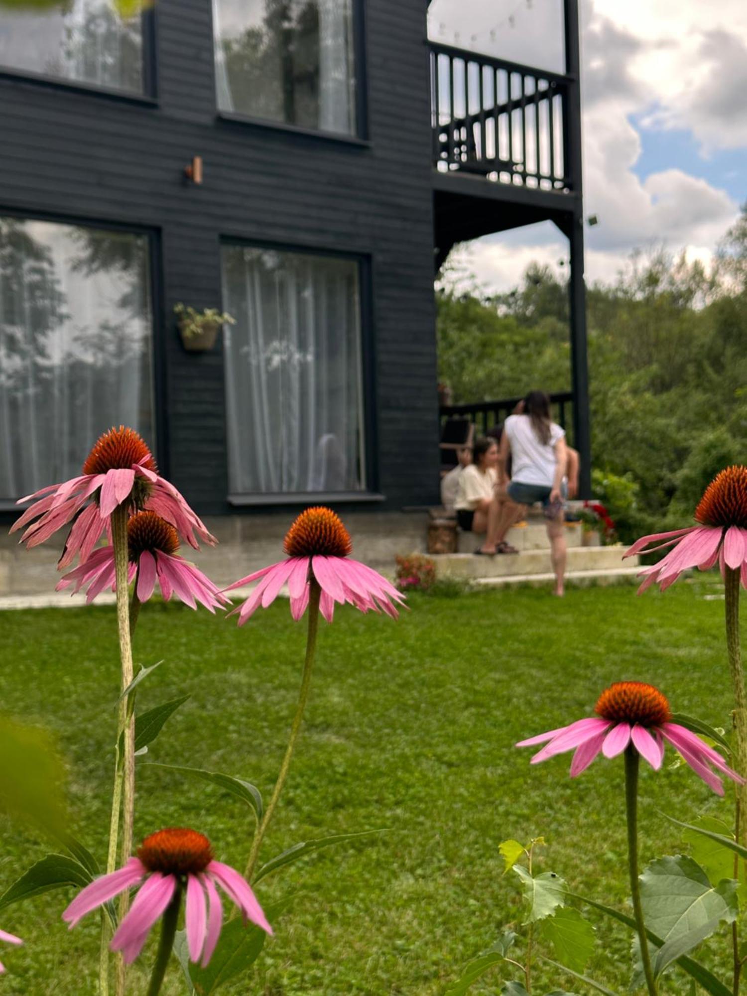 Casa De Pe Un Deal-Provita De Sus-Prahova Buitenkant foto